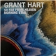 Grant Hart - So Far From Heaven / Morning Star